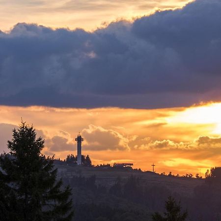 Fewo Poenblick Willingen  Buitenkant foto