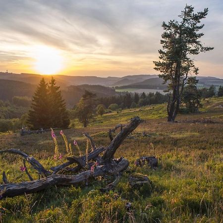 Fewo Poenblick Willingen  Buitenkant foto