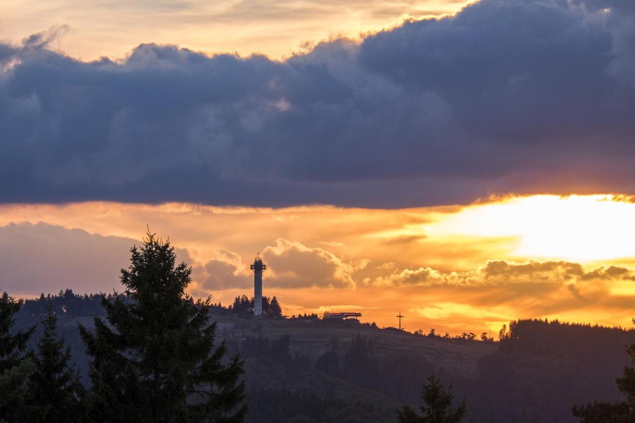 Fewo Poenblick Willingen  Buitenkant foto