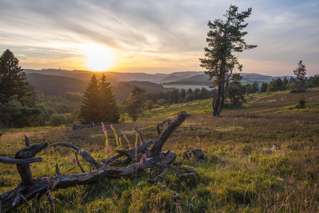 Fewo Poenblick Willingen  Buitenkant foto