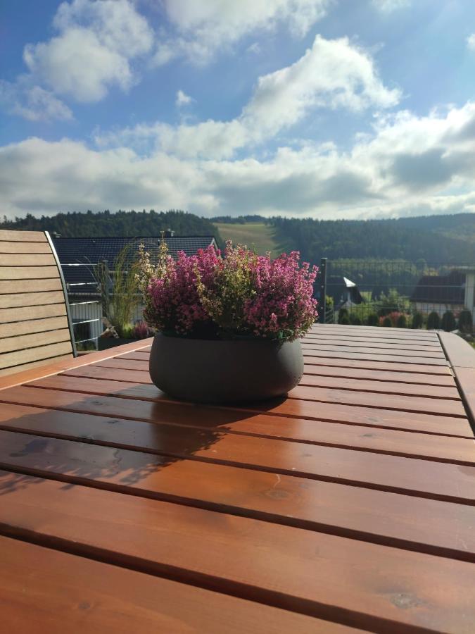 Fewo Poenblick Willingen  Buitenkant foto